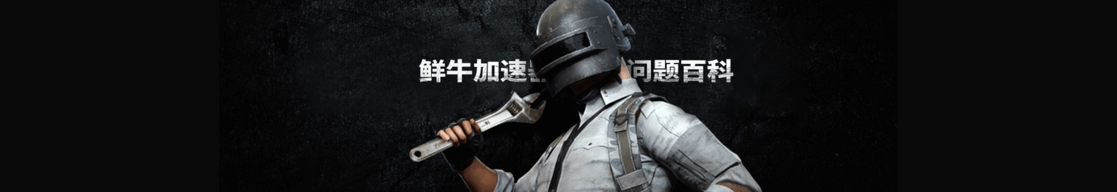 鲜牛加速器
